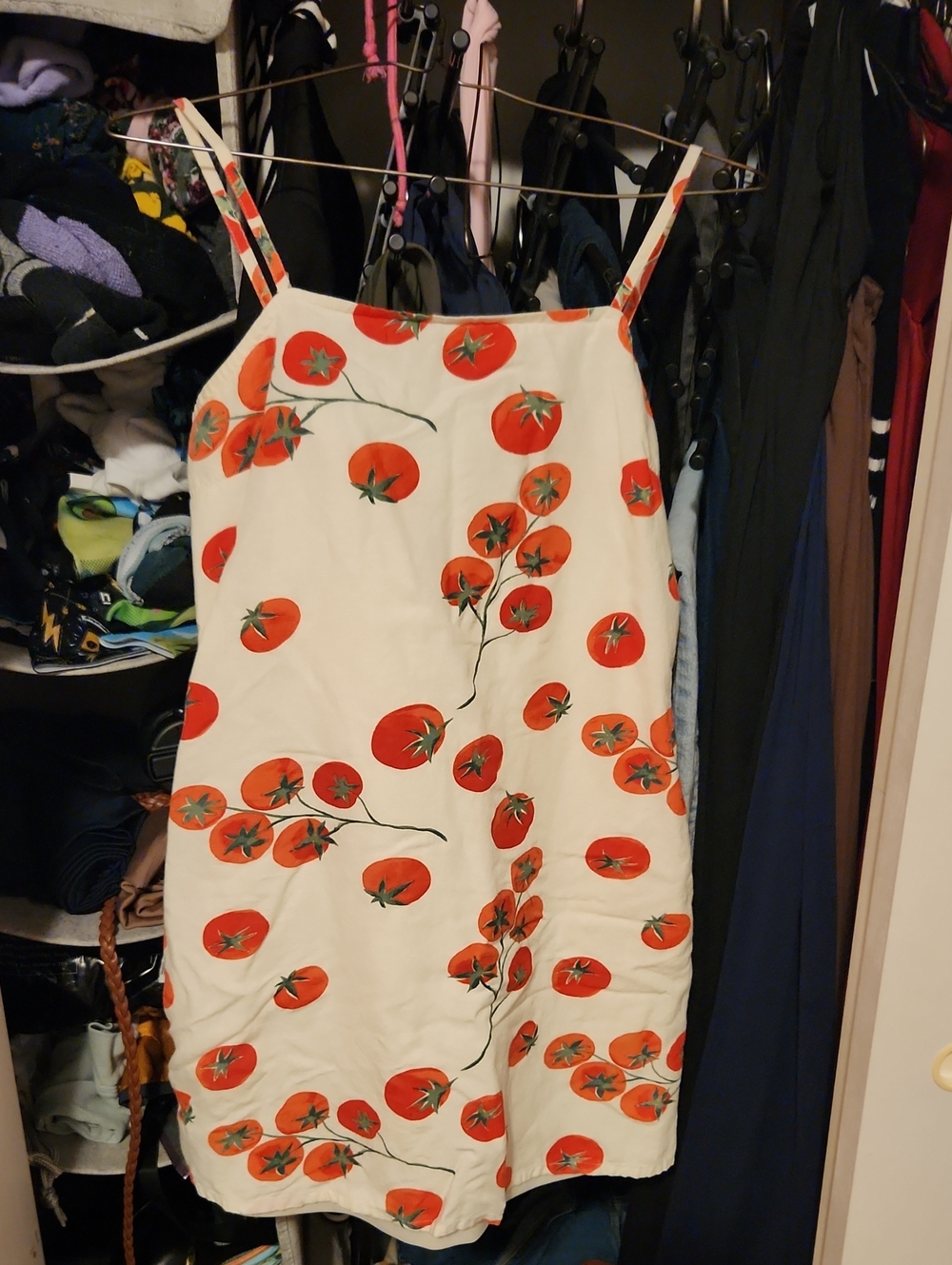 Sincerely Jules Cream Tomato Print Slip Dress